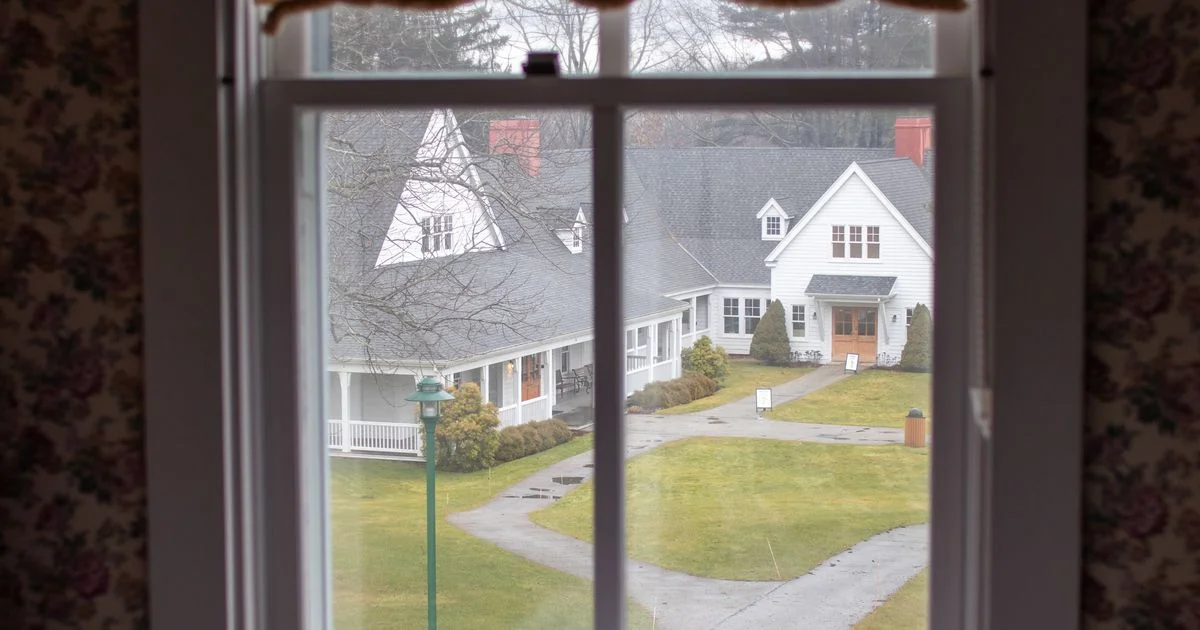 A double-hung bedroom window and the yard beyond it, the opening any decision about smart blinds for large windows has to leave usable