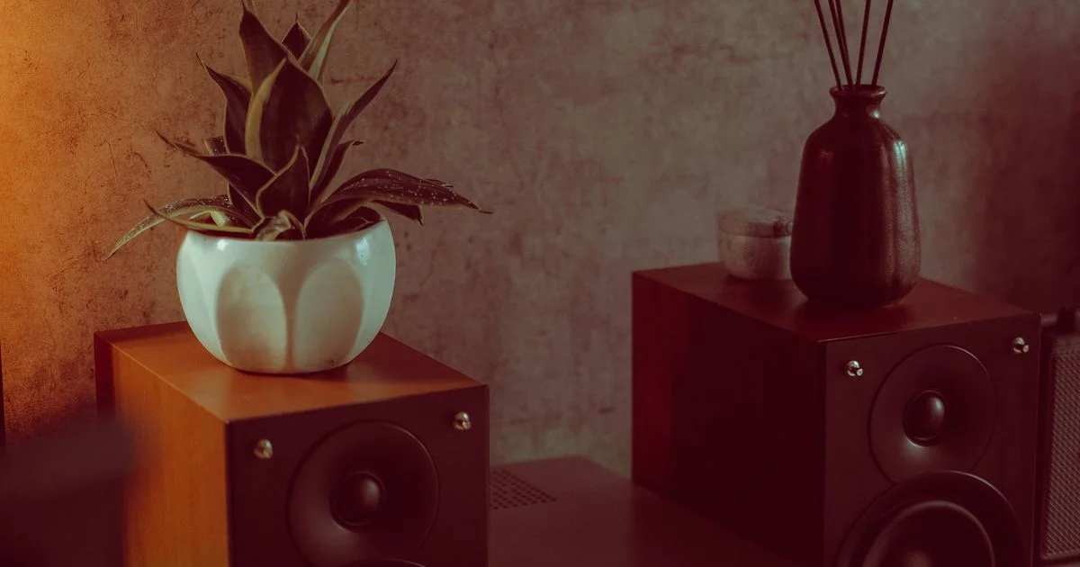 Bookshelf speakers on a shelf in a living room, the room a Sonos smart speaker for home assistant setup goes in
